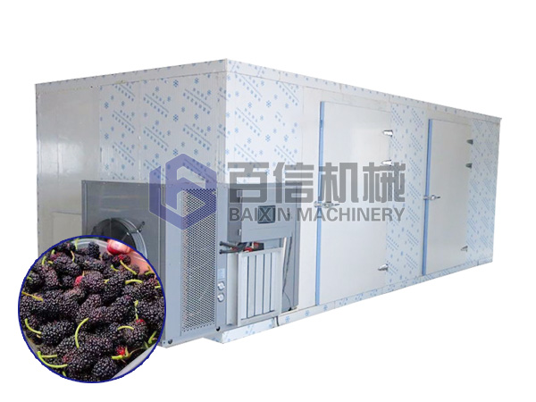 桑葚烘干機(jī)